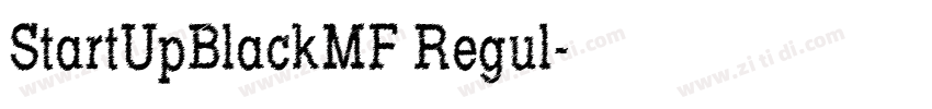 StartUpBlackMF Regul字体转换